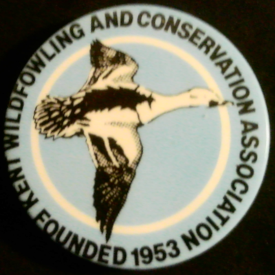 Rusted 1982 CND Badge
