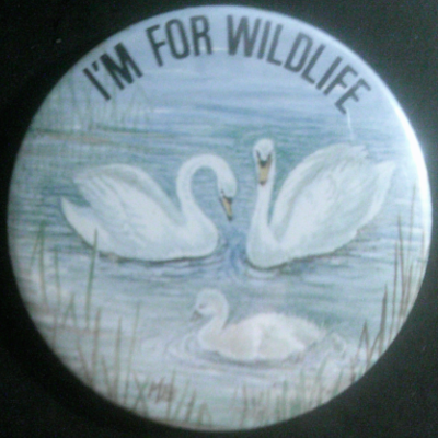 Rusted 1982 CND Badge
