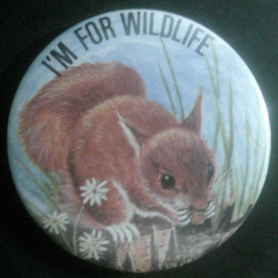 Rusted 1982 CND Badge