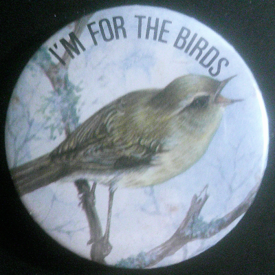 Rusted 1982 CND Badge