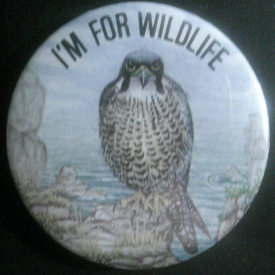Rusted 1982 CND Badge