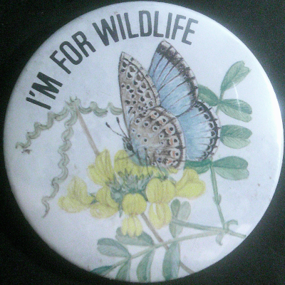 Rusted 1982 CND Badge