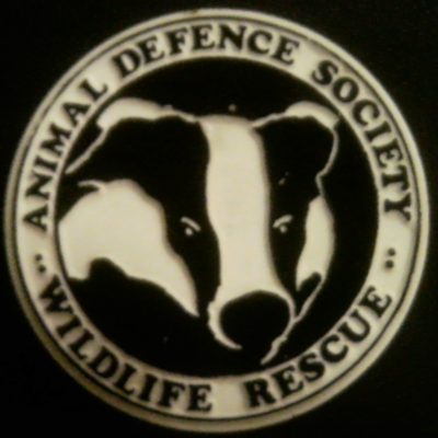 Rusted 1982 CND Badge