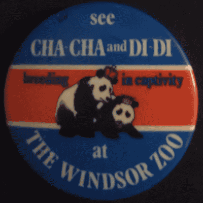 Rusted 1982 CND Badge