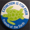 Extinction is forever - Turtle