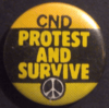 Protest and survive (rare yellow version)