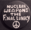 Nuclear weapons the fi...